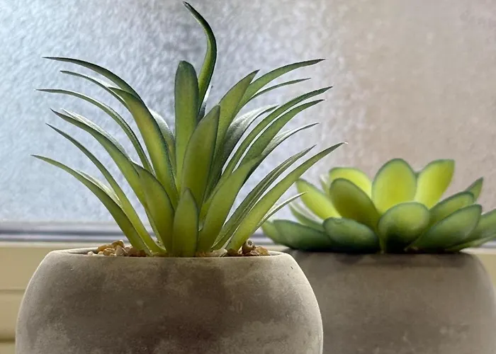 Apartamento Fac- Falcon's Nest By Vallettastay La Valeta