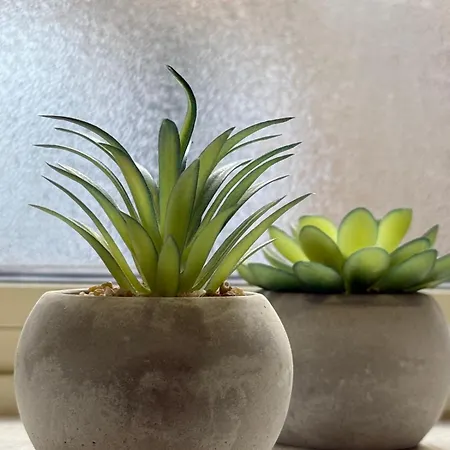 Appartement Fac- Falcon's Nest By Vallettastay La Valette